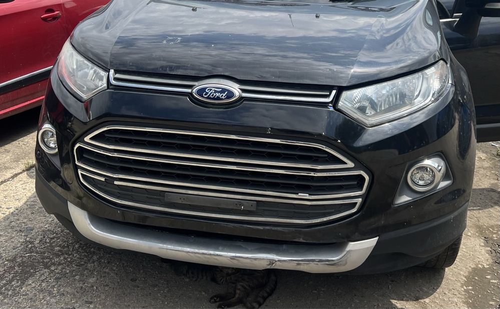 Ford EcoSport 1.0 EcoBoost на части