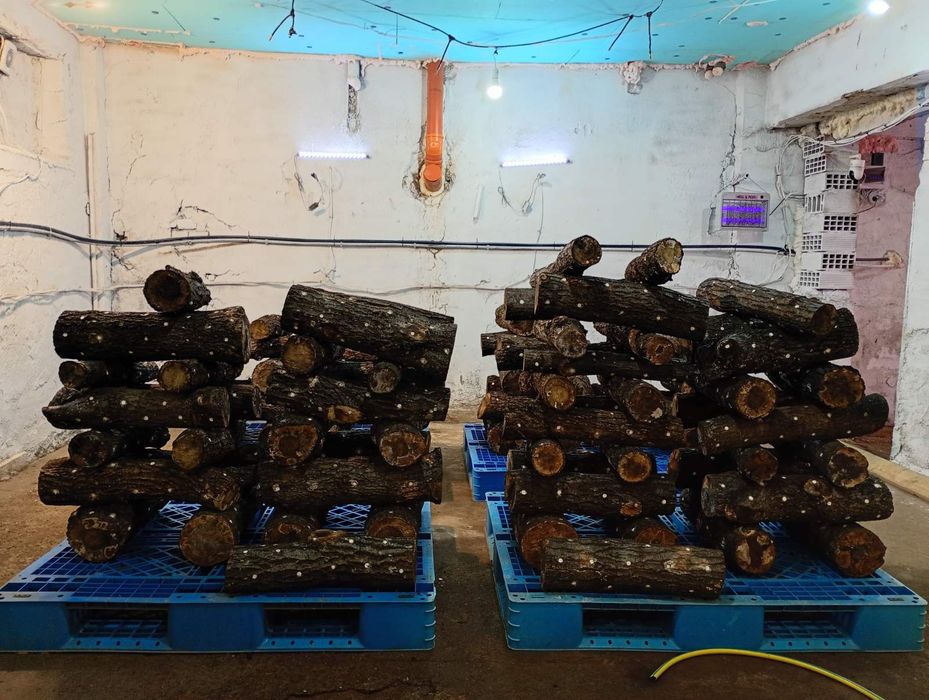 Дава се под наем Промишлена сграда в с. Яхиново, Област Кюстендил - 120 кв.м за 765 € - Снимка #9