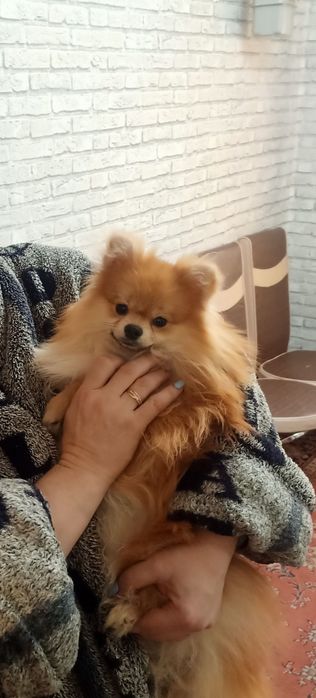 Ищу невесту, для хорошей и крепкой любви