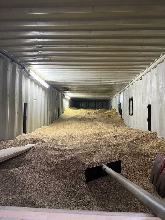 Продам ячмень на корм. 33 тонны. Цена 60 тг за кг. Самовывоз