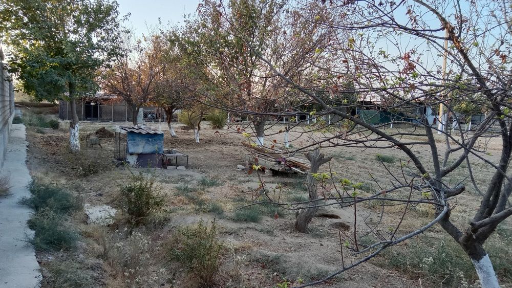 Termiz tumanida yer sotiladi kelishamiz