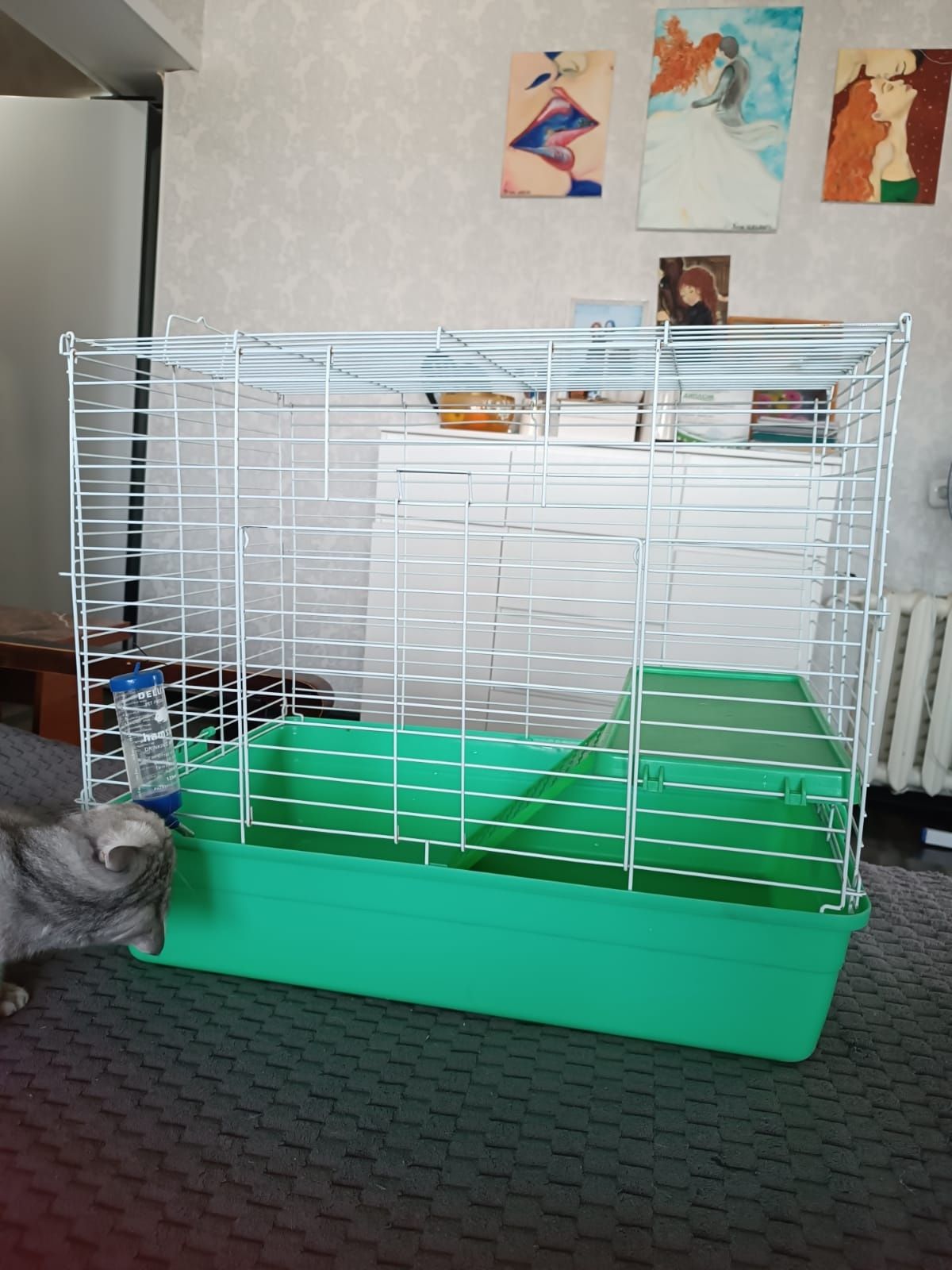 Клетка для животных