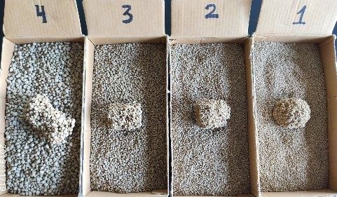 Наполнитель для кошачьего туалета