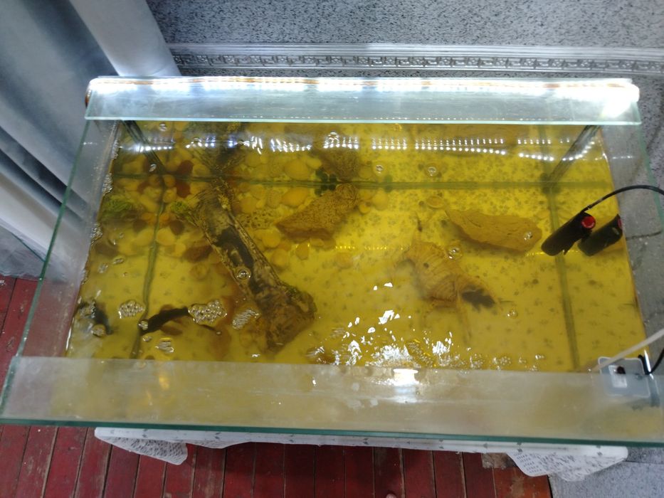 Продам аквариум со всеми пренадлежностими