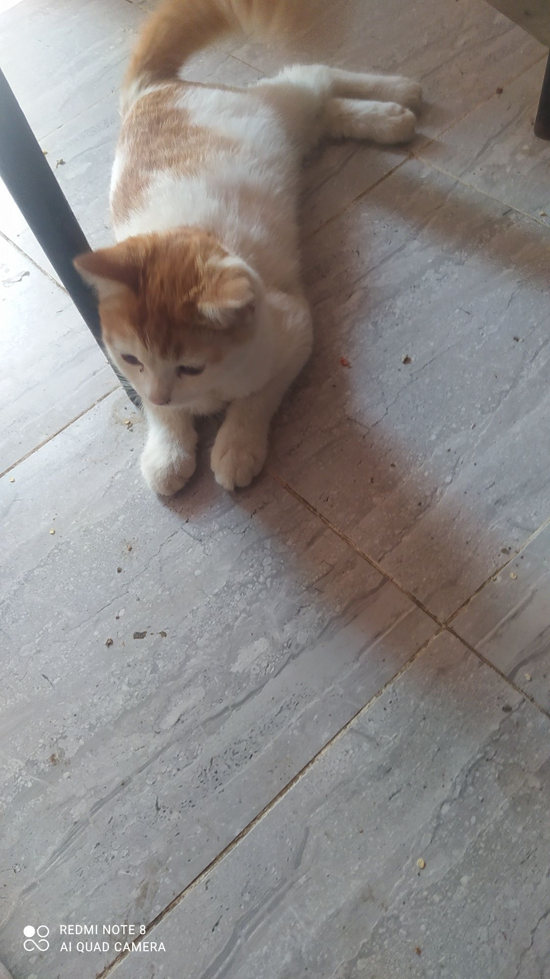 Скотч страйт Skotsh strayt