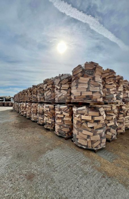 Lemne de foc din esență tare fag cer