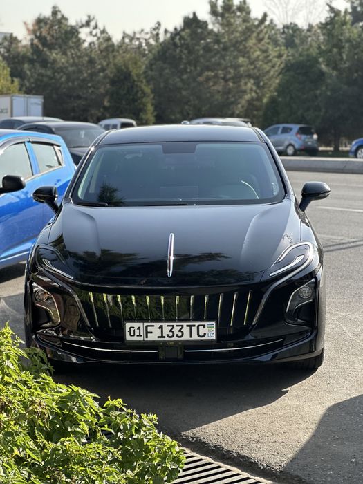 Поездки на горы на Электромобиле комфорт не дорого