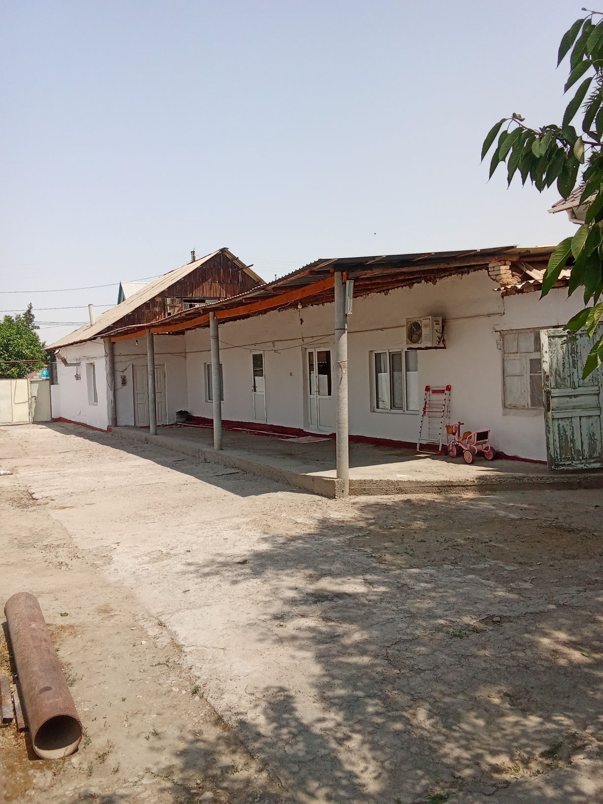 Тез арада саудасы бар
