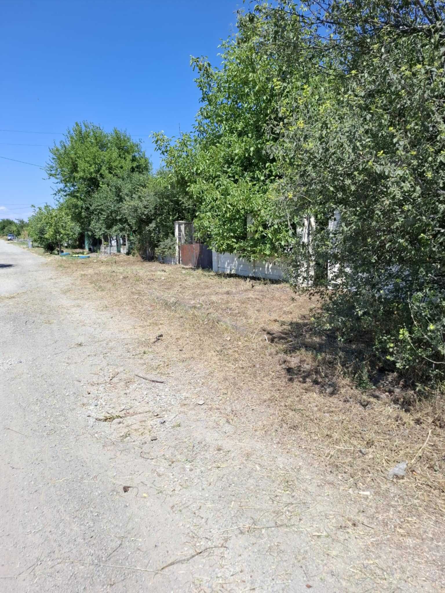 Косене на Трева, Подрязване на Храсти и Клони в гр. Бургас и Региона.