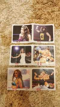 Мини уникални плакати на Първична сила WWE - Разбиване - Кеч