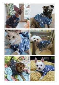 Одежда новая для кошки/маленькой собаки