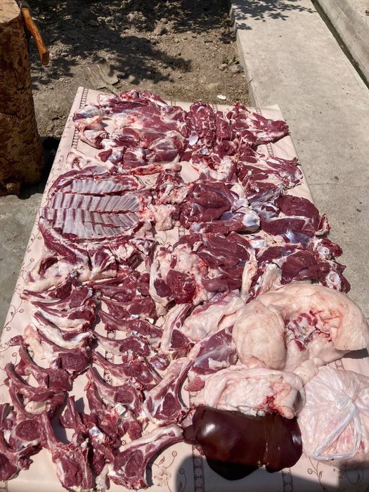 Qoʻy qoʻchqor qassob dastafka bor 24/7