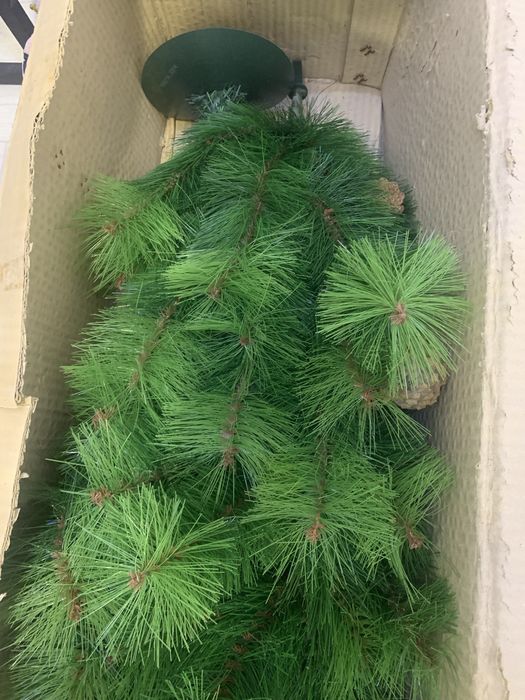 Продам Елку красивую