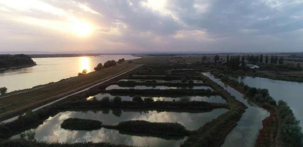Vand ferma piscicola