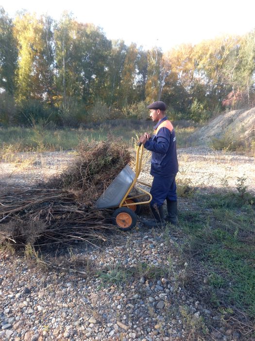 Перекидаю уголь тона 2500.