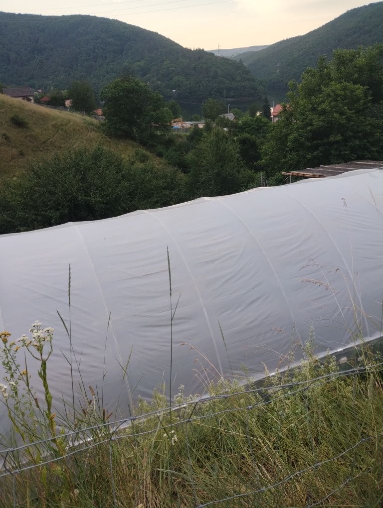 Solarii import Ungaria ieftine profesionale