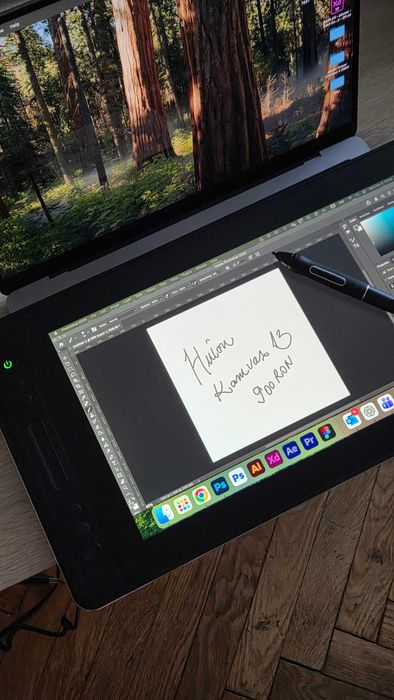 Tableta grafica Huion Kamvas Pro 13 G-133