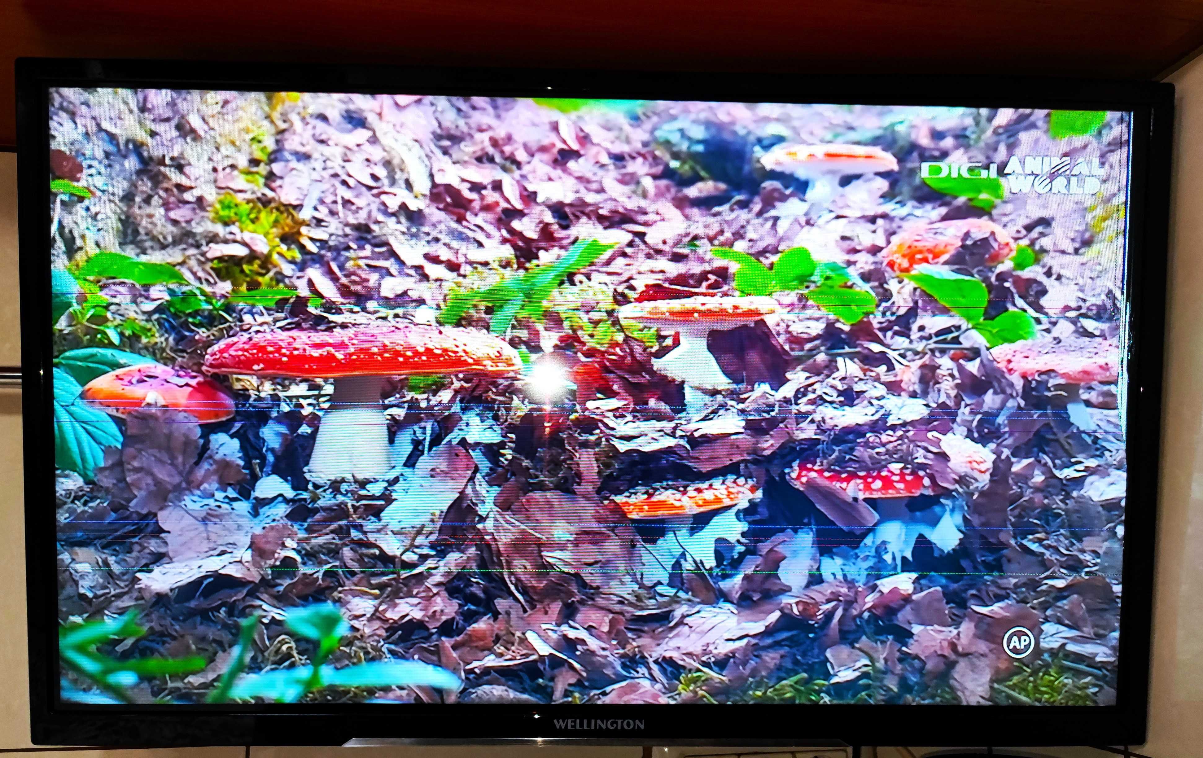 Tv Wellington 80cm SMART LED  ,ecran cu defect