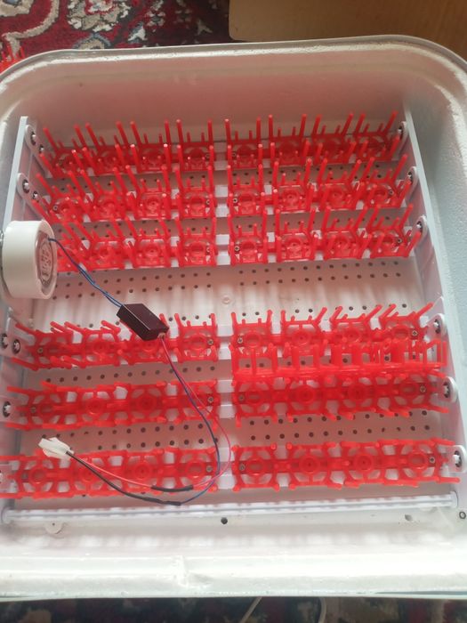 Inkubator tuxum ochirgich