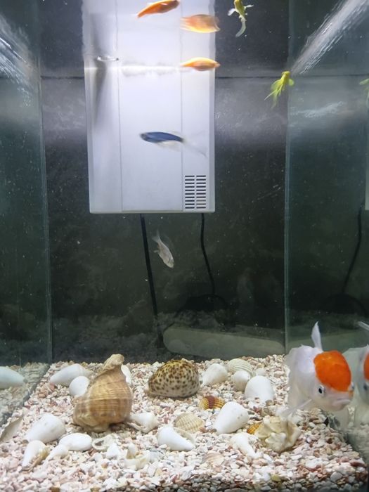 Аквариум 35 литрли