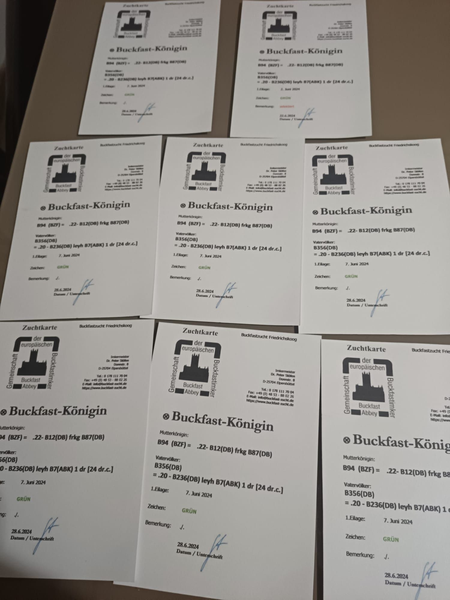 Carpatina buckfast vsh carnica matci albine stupi regine roiuri famili