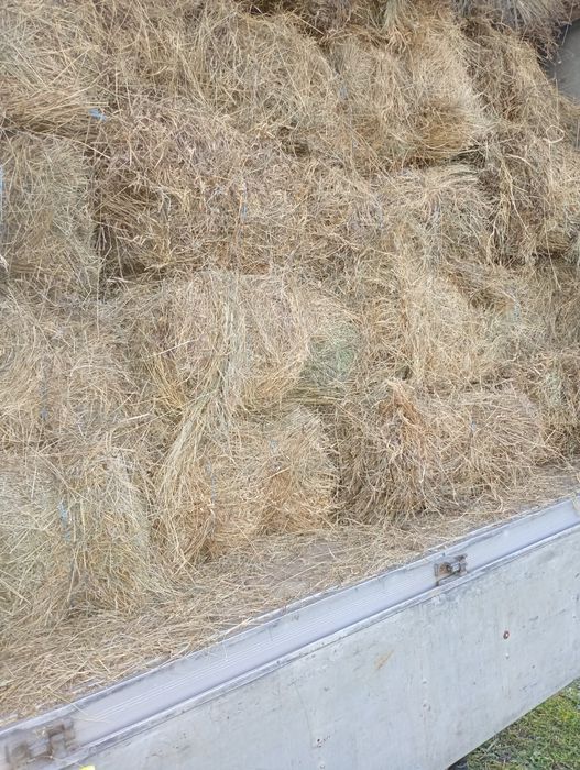 Baloți rotunzi dreptunghiulari lucerna paie fan