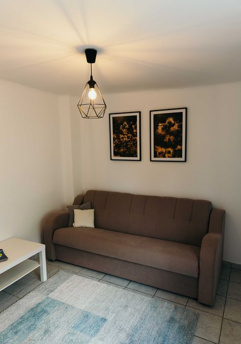 Casa la curte si gradina