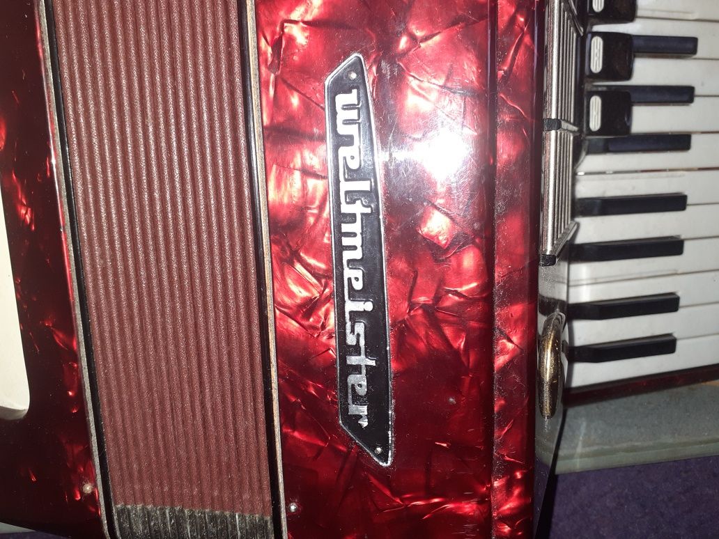 Acordeon weltmeister