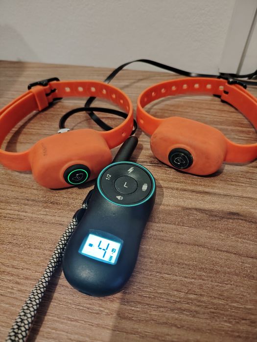 Zgarda electrica dubla pentru 2 catei