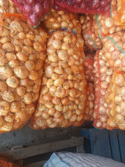 Ceapă de vânzare.