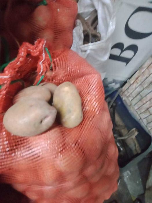 Продается домашняя картошка. Самые элитные сорта.