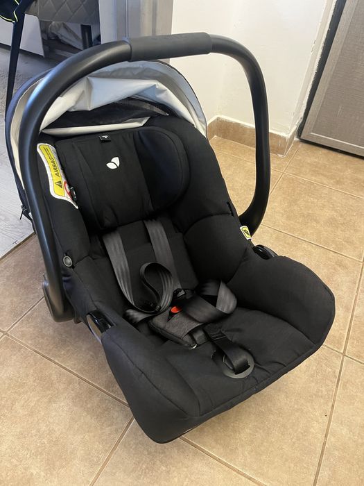 Scoică Joie I-Gemm 2