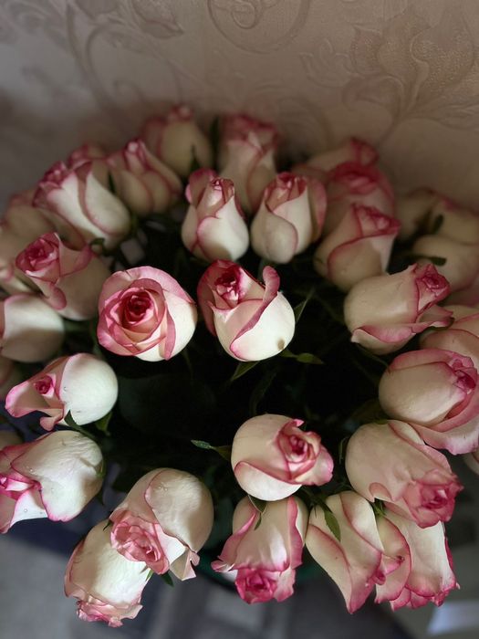 Голландская роза 45шт