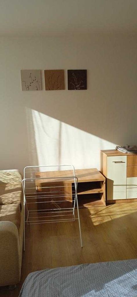 Дава се под наем Едностаен апартамент в Банско - 39 кв.м за 255 € - Снимка #1