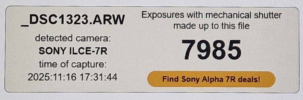 Sony A7R (36.2 MP) (2500 lei) + obiectiv Sigma 100-400 mm (4000 lei)