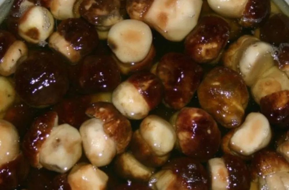 Продам грибы собранные в этом году. Готовые !