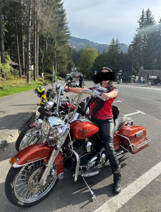 Harley Davidson - King  Road