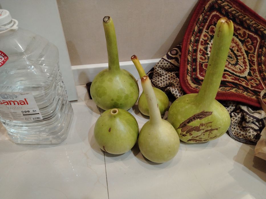 Возьму дом с участком на дачах рядом с городом алматы