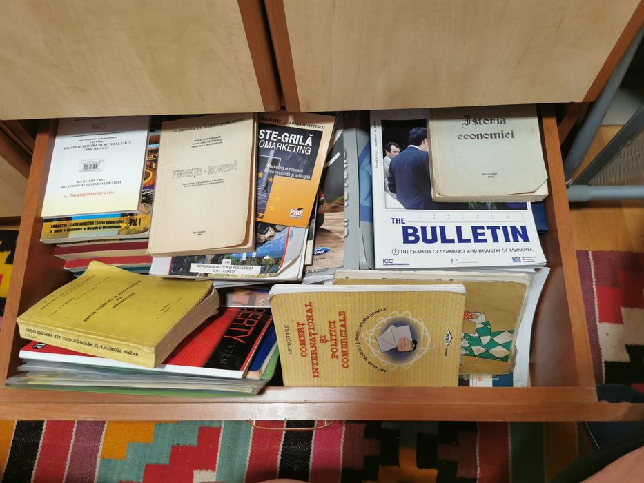 Cărți diverse și manuale școlare