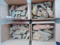Pietre dragon stone acvariu pesti creveti