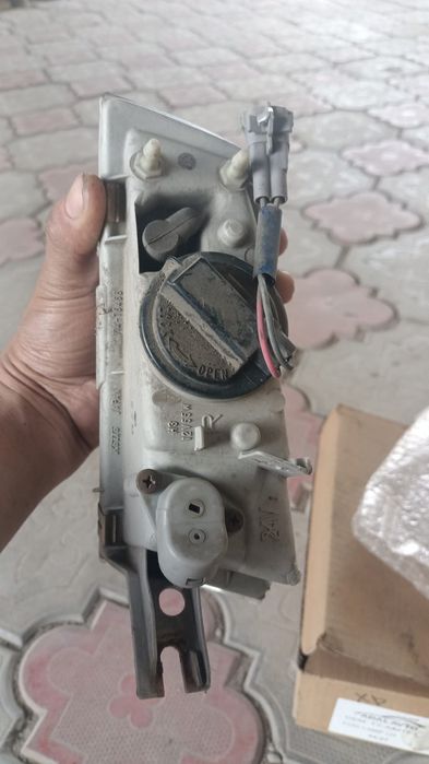 Ипсум ипсун ipsum picnic пикник