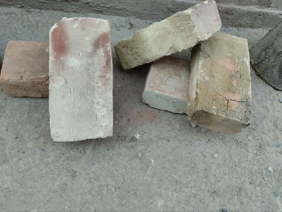 Пишк  гиш размер катта