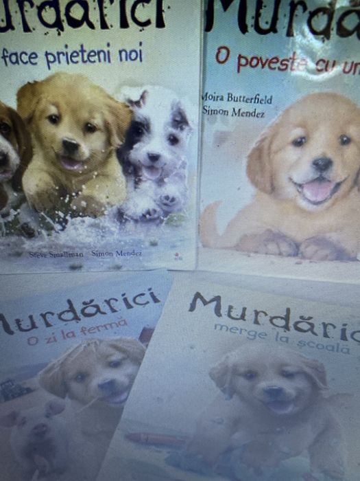 7 carti Iepuras si 4 carti Murdarici