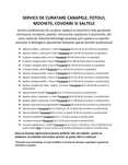 Curatare canapele, saltele si covoare!