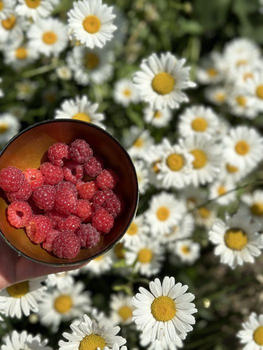Аренда Дом долгосрочно