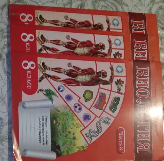 Продам тетради с заданиями для индивидуальной работы