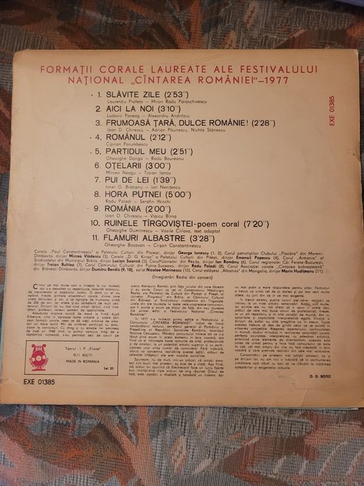 Placa muzicala Vinil