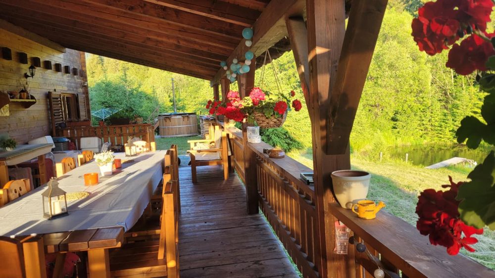 Pensiune, pastravarie, afacere la cheie