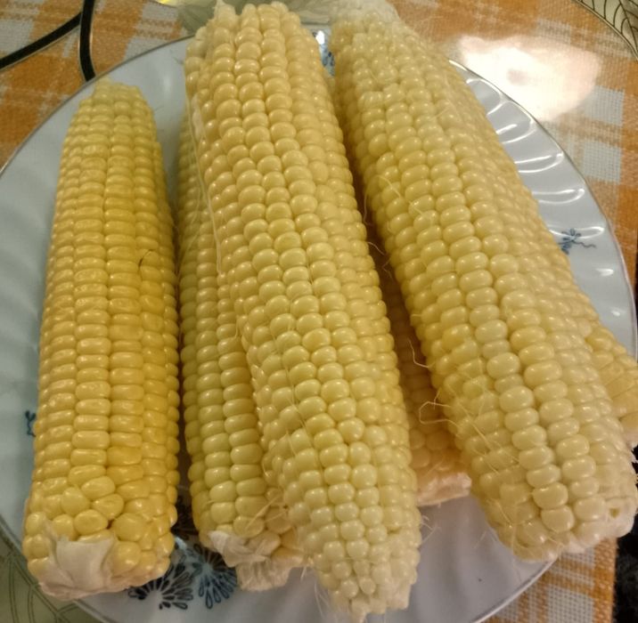 Porumb dulce pentru  fiert