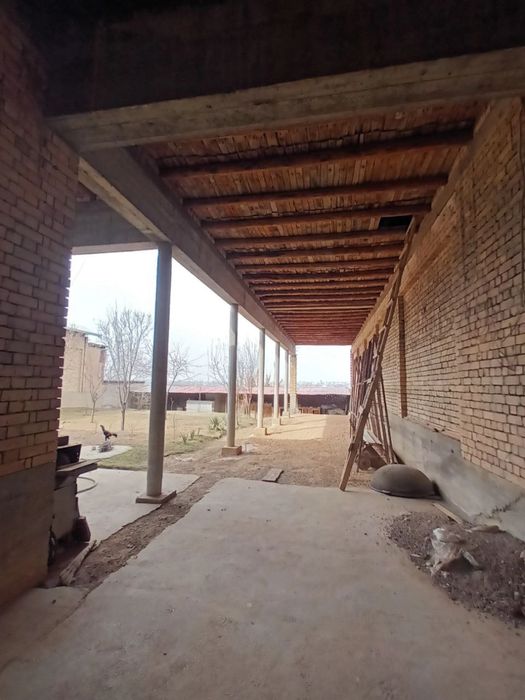 Назарбек  Тарнов репром